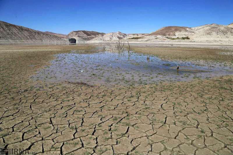 خشکسالی در برخی مناطق مانع از رشد و پرورش دام ها میشود