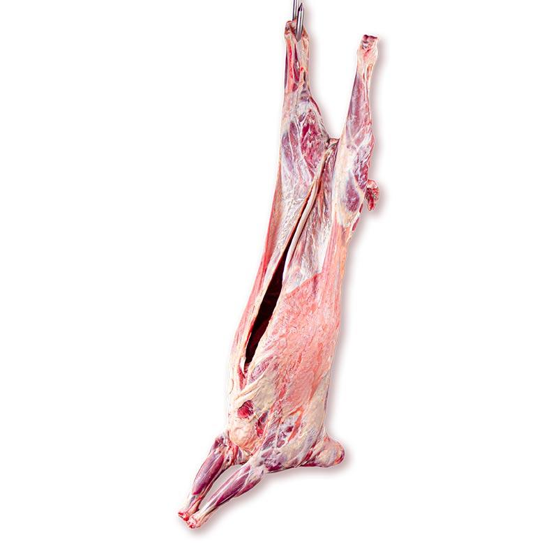 لاشه گوشت گوسفندی محصول کشتارگاه طیب گوشت