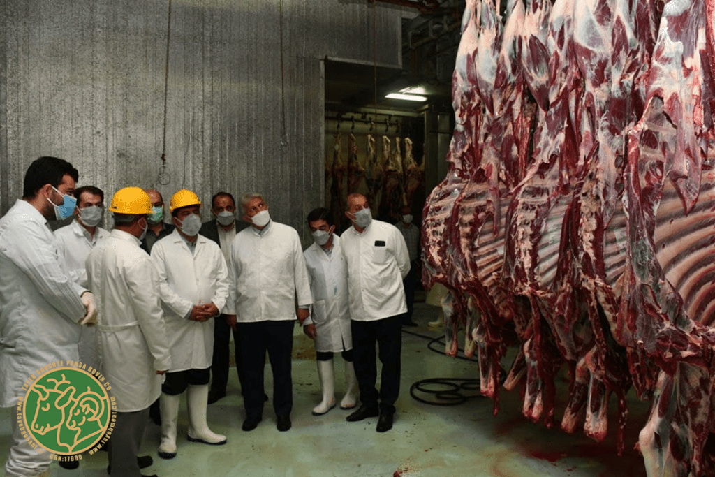 مزایای خرید مستقیم گوشت از کشتارگاه