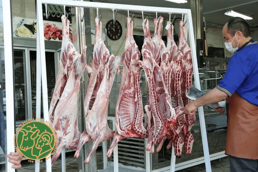 چگونه گوشت گوسفندی را تشخیص دهیم