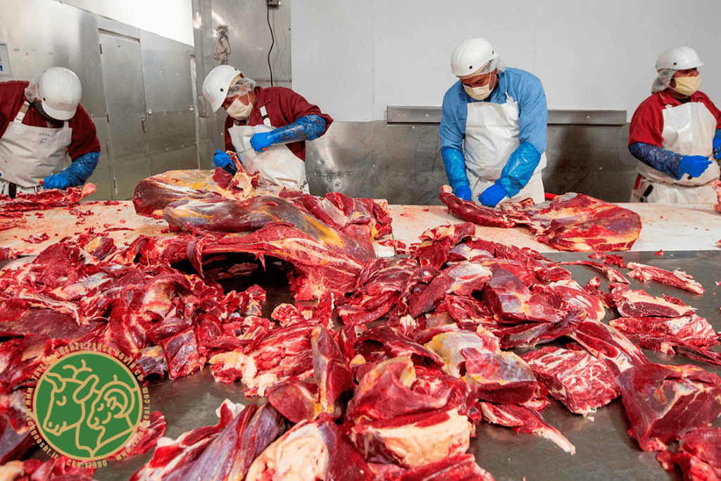 کیفیت لاشه گوشت در کشتارگاه