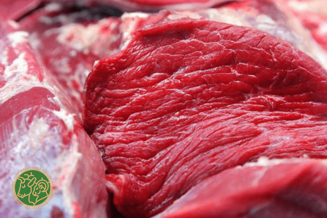فروش گوشت گرم تهران