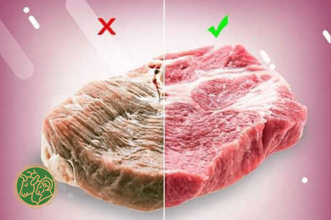 تشخیص گوشت سالم از ظاهر گوشت 