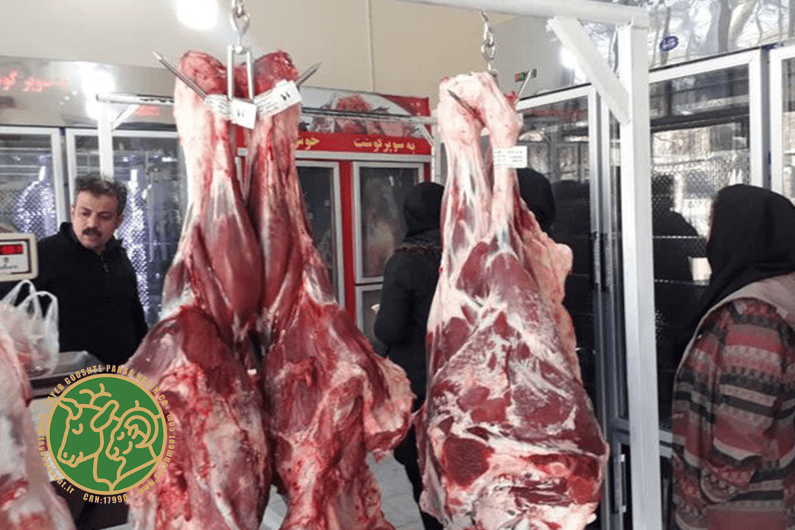 قیمت لاشه گوشت به روز