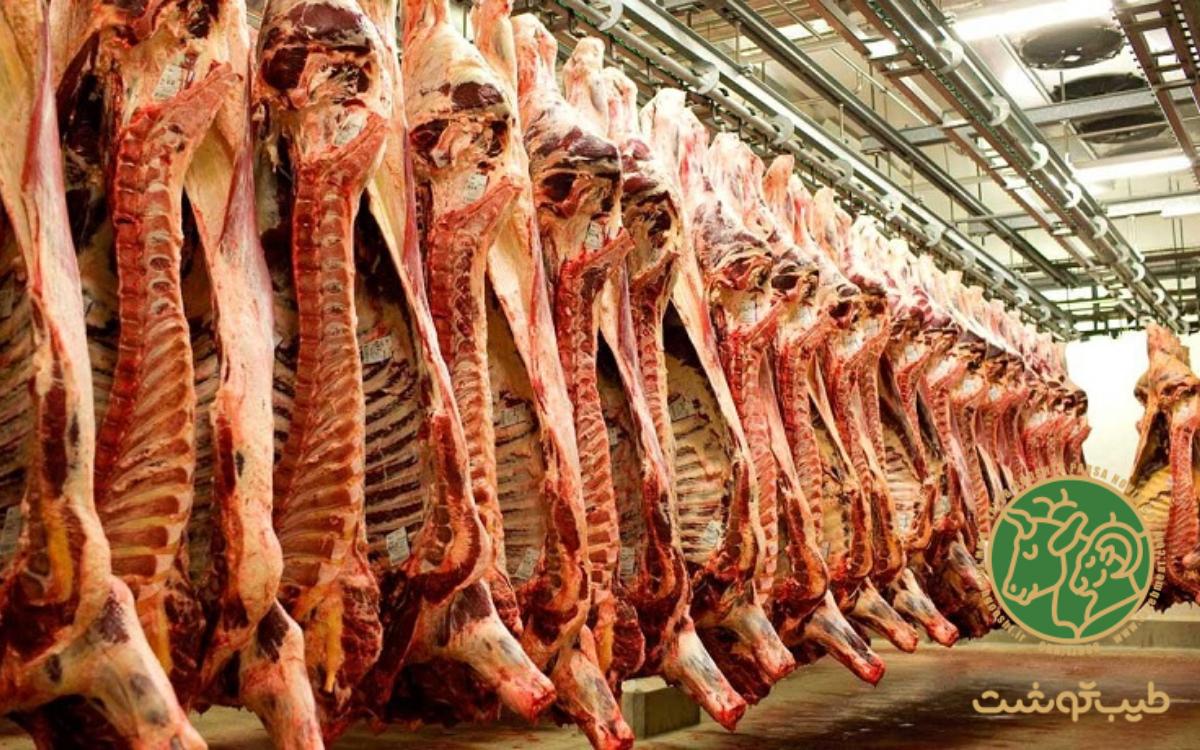 خرید لاشه گوسفندی برای مصارف خاص