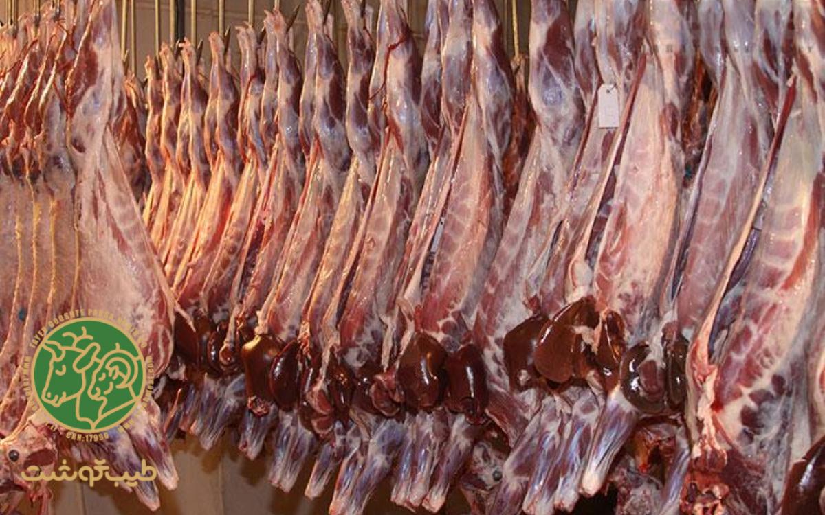 مقایسه لاشه گوسفندی با لاشه بز و گاو